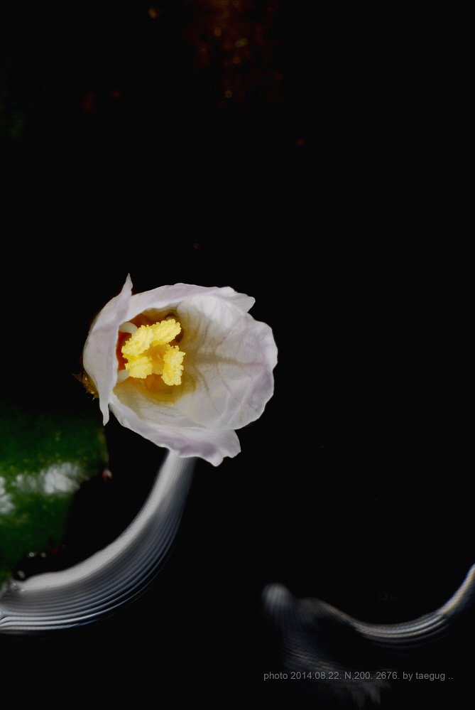mm_DSC2676.JPG