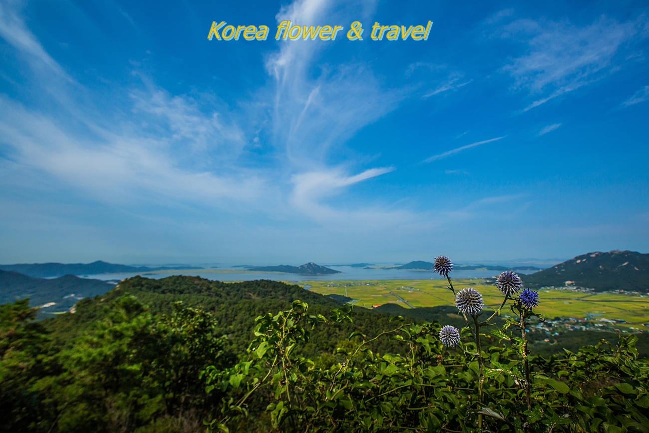 절굿대01.jpg