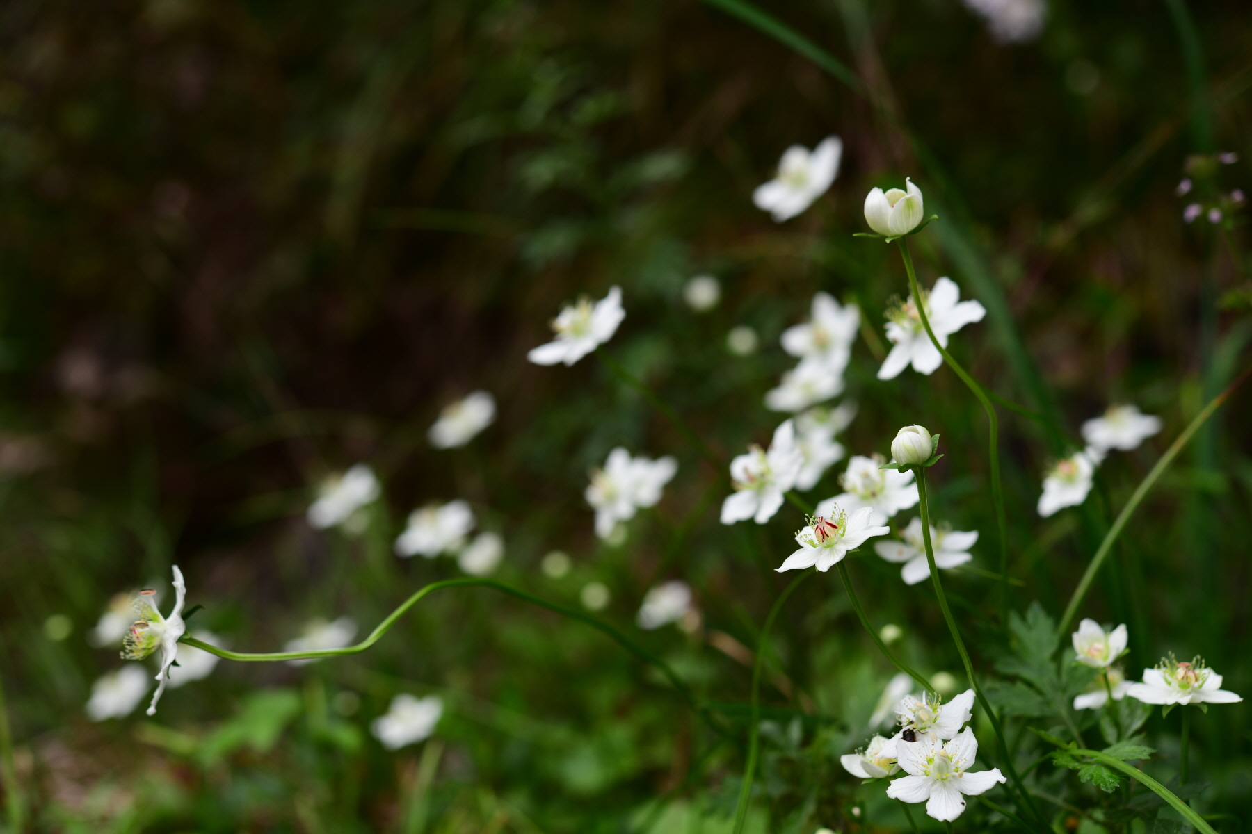 크기변환_DSC_0691.JPG
