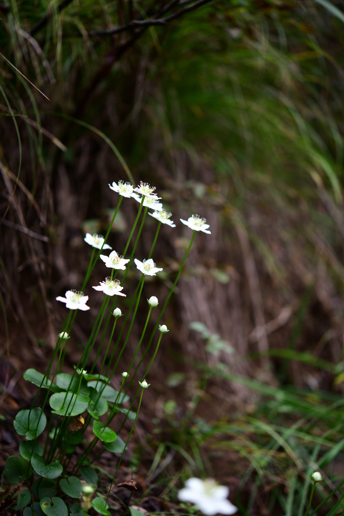 크기변환_DSC_0511.JPG
