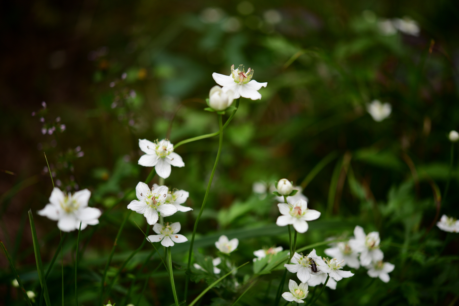 크기변환_DSC_0458.JPG