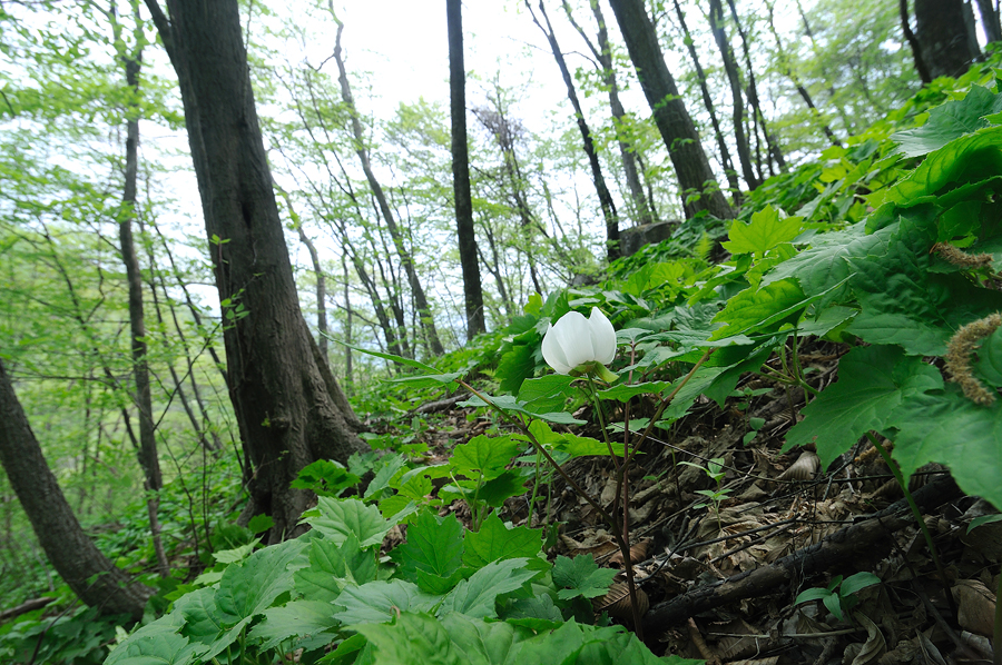 DSC_4105.jpg