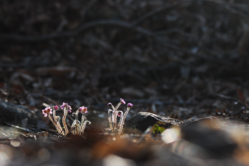 크기변환_DSC_0505.JPG