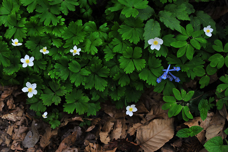 20120419_0155=1.jpg