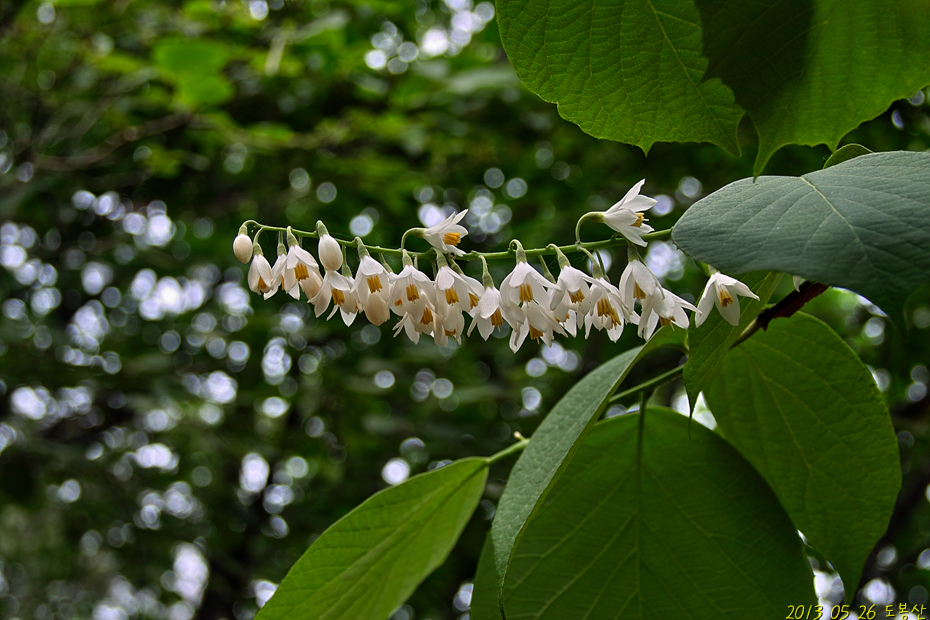 SDIM0370.jpg