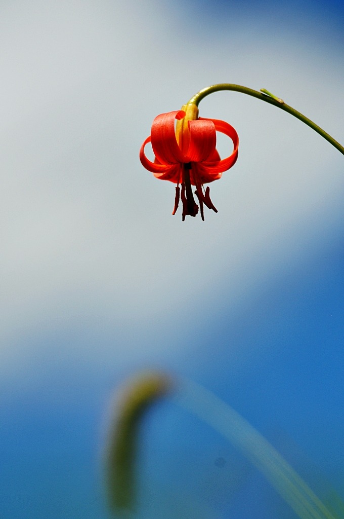 DSC_0744-1.jpg