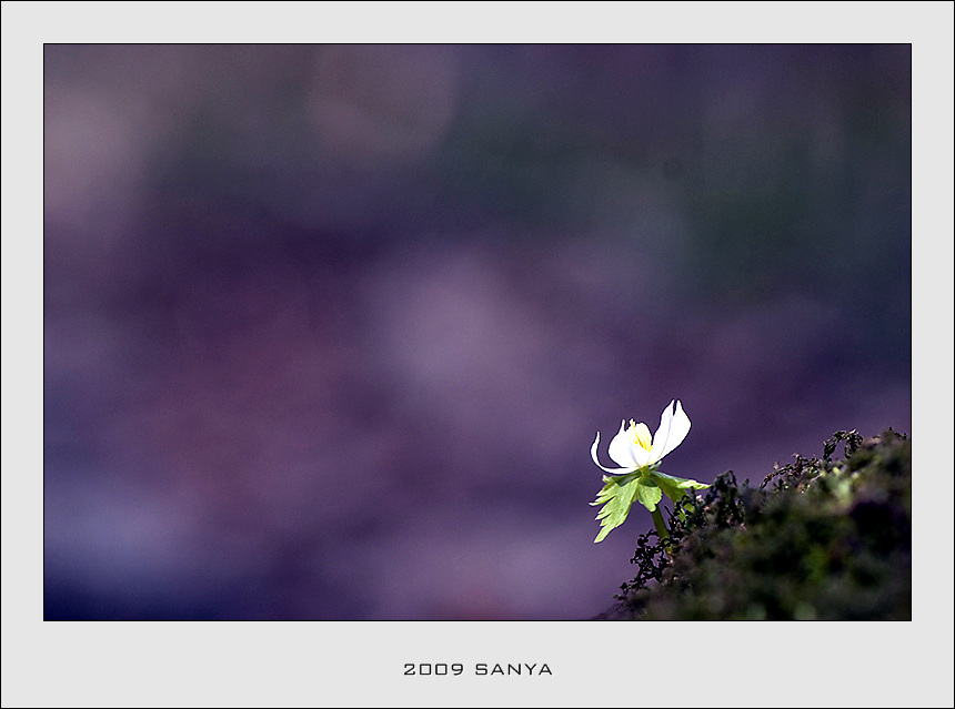 DSC_6669-모데미풀.jpg