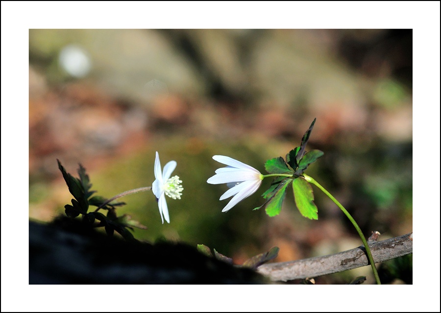 DSC_5920.jpg