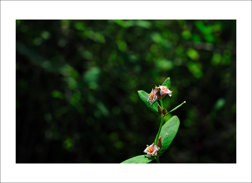 DSC_6160.jpg