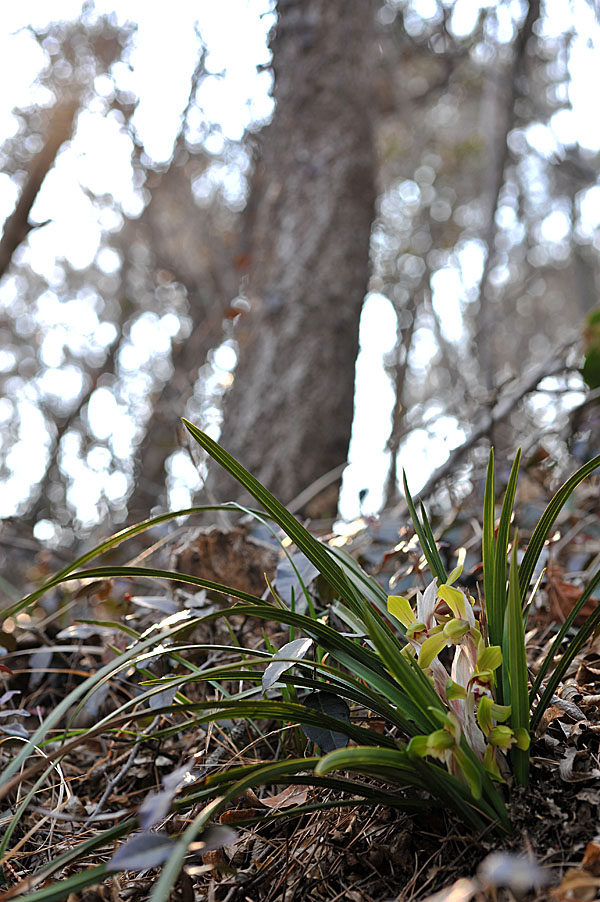 20110403_0214-1.jpg