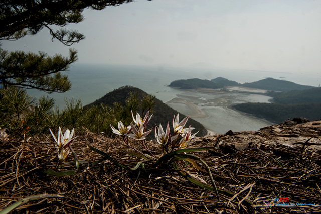 산.jpg