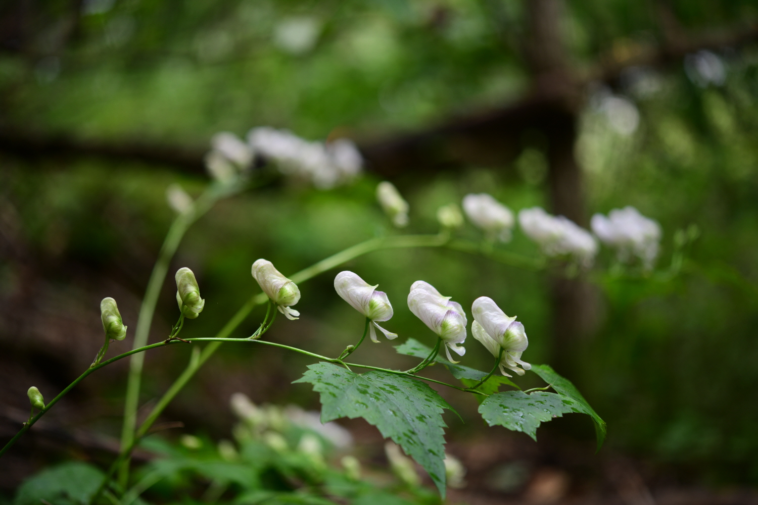 크기변환_DSC_4021.JPG