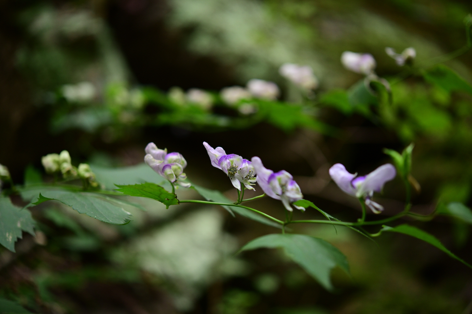 크기변환_DSC_3979.JPG