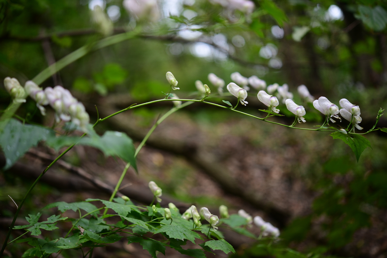 크기변환_DSC_4016.JPG