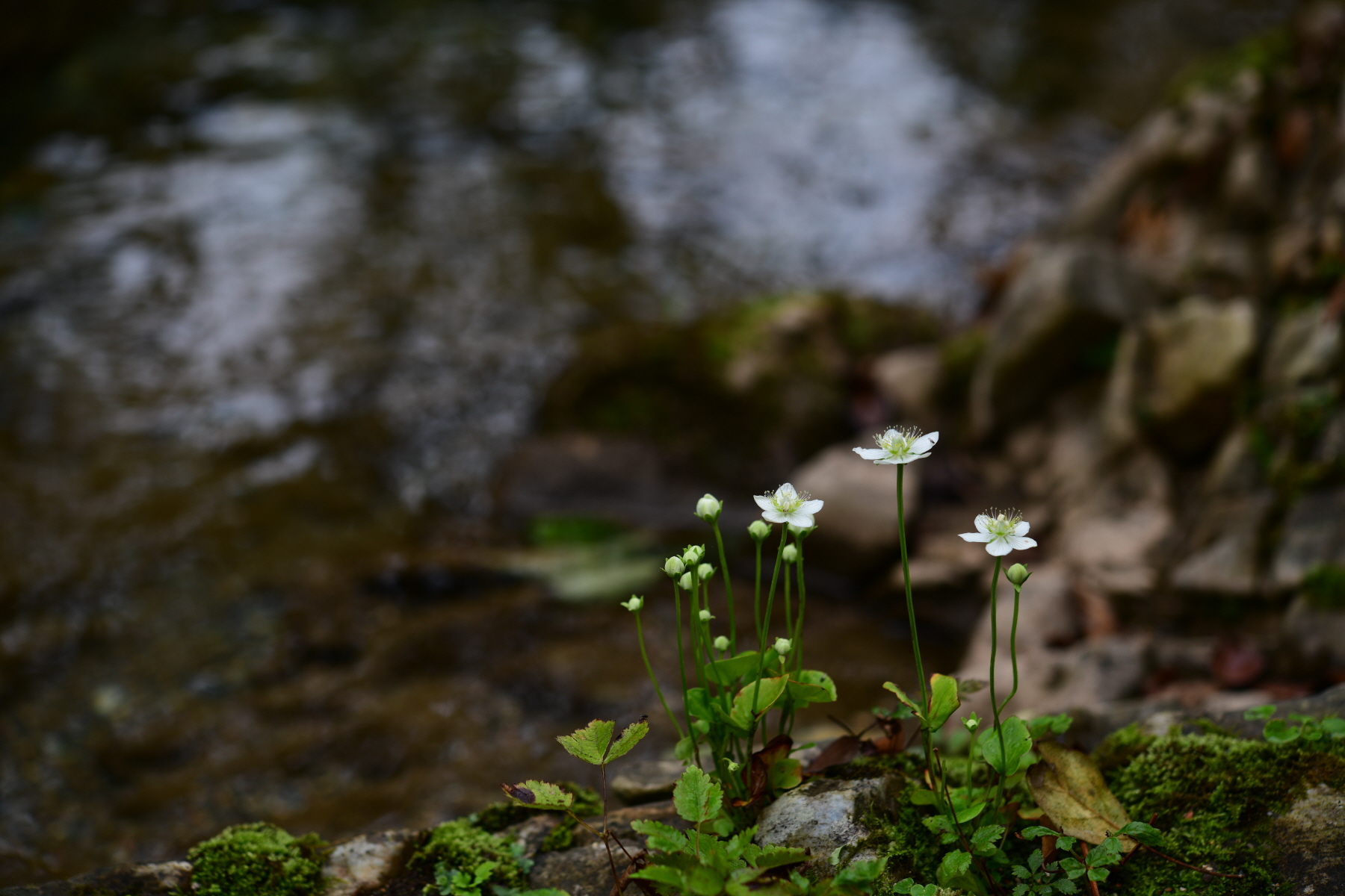 크기변환_DSC_9643.JPG