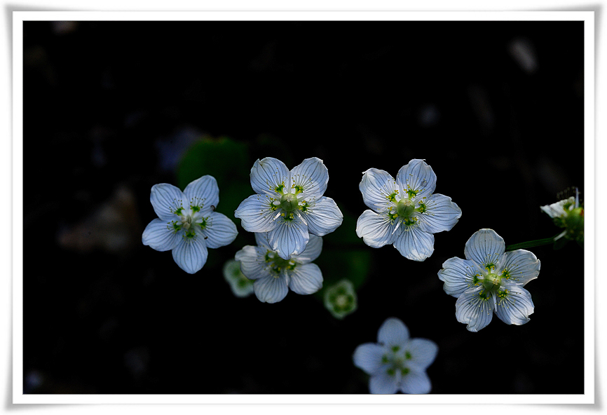 DSC_6905-1.jpg