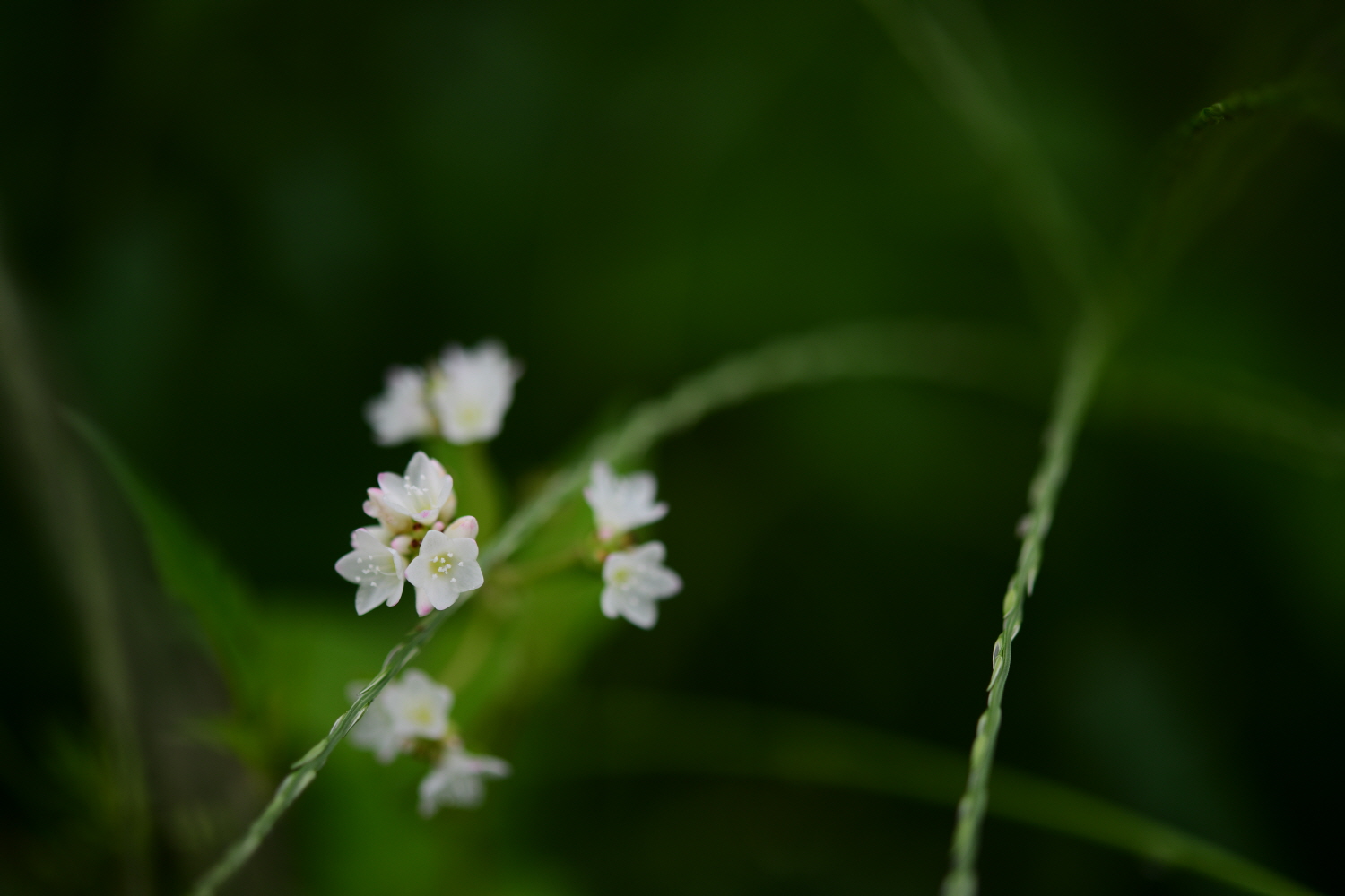 크기변환_DSC_5984.JPG