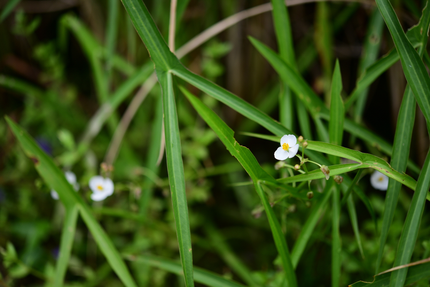 크기변환_DSC_5904.JPG