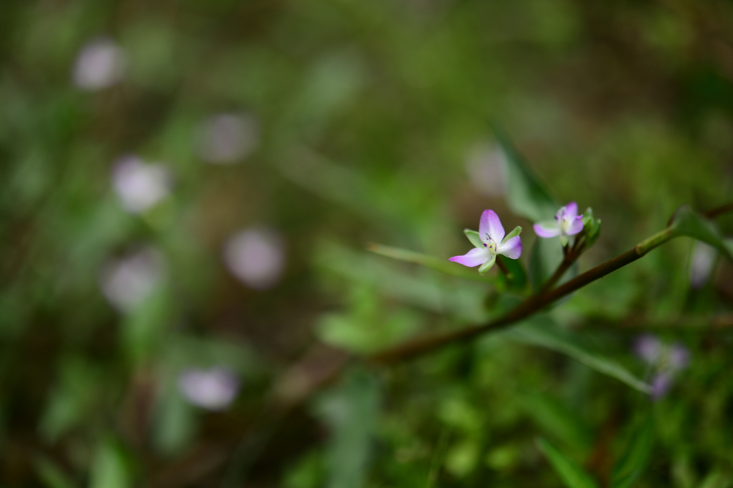 크기변환_DSC_5902.JPG
