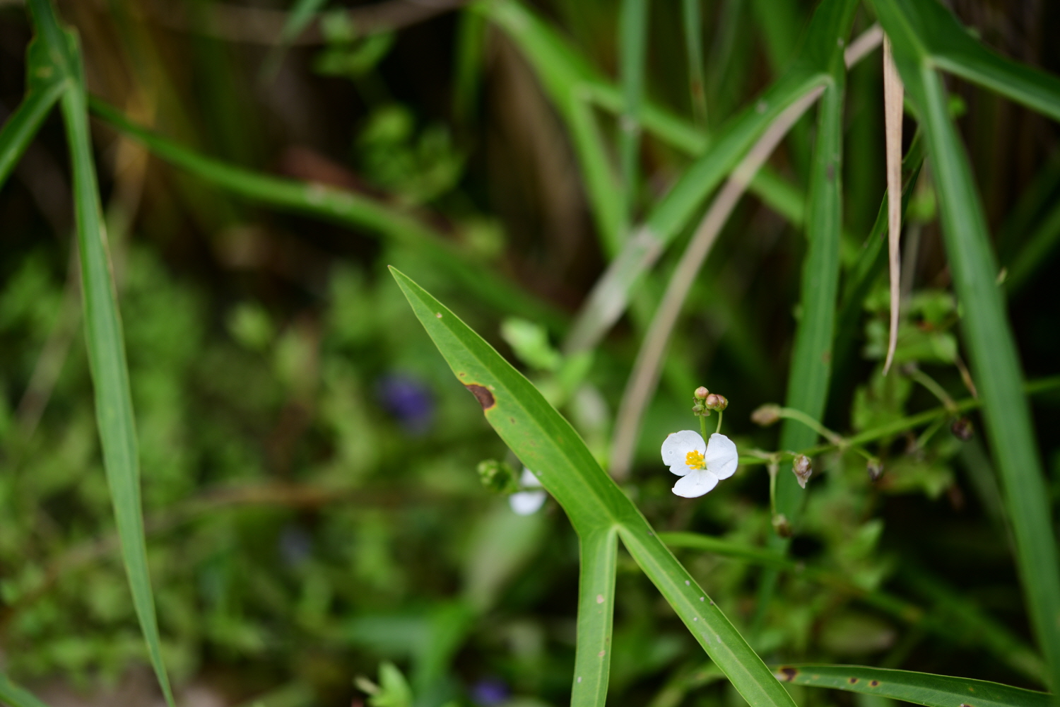 크기변환_DSC_5905.JPG