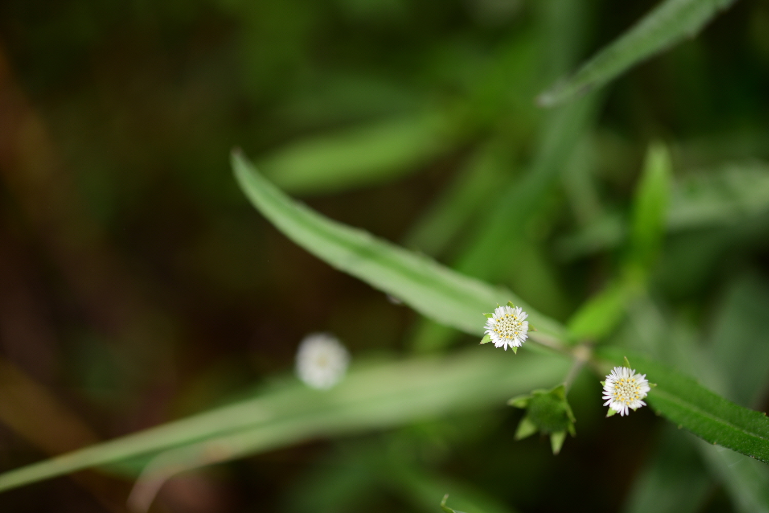 크기변환_DSC_5893.JPG