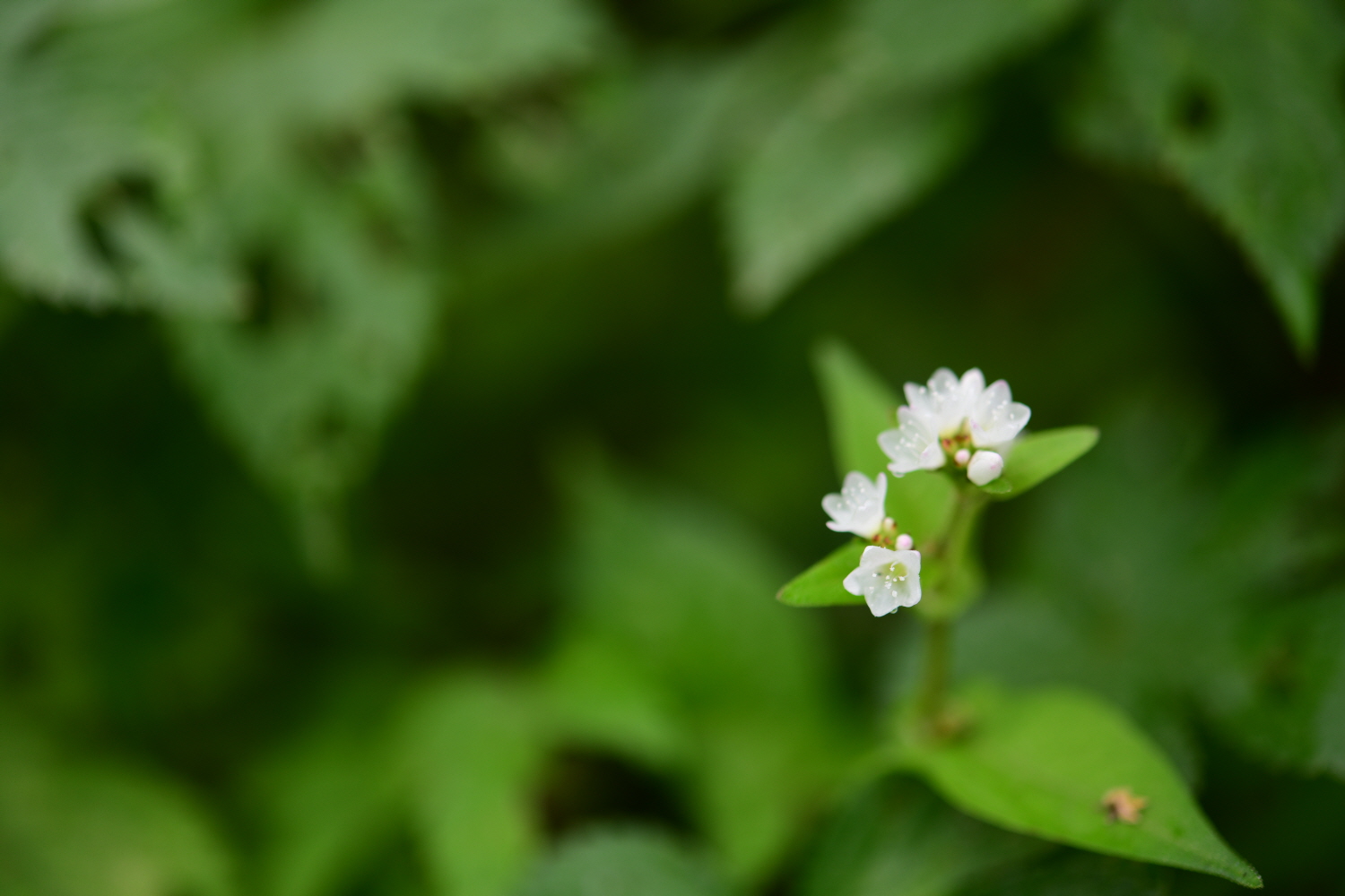 크기변환_DSC_5979.JPG