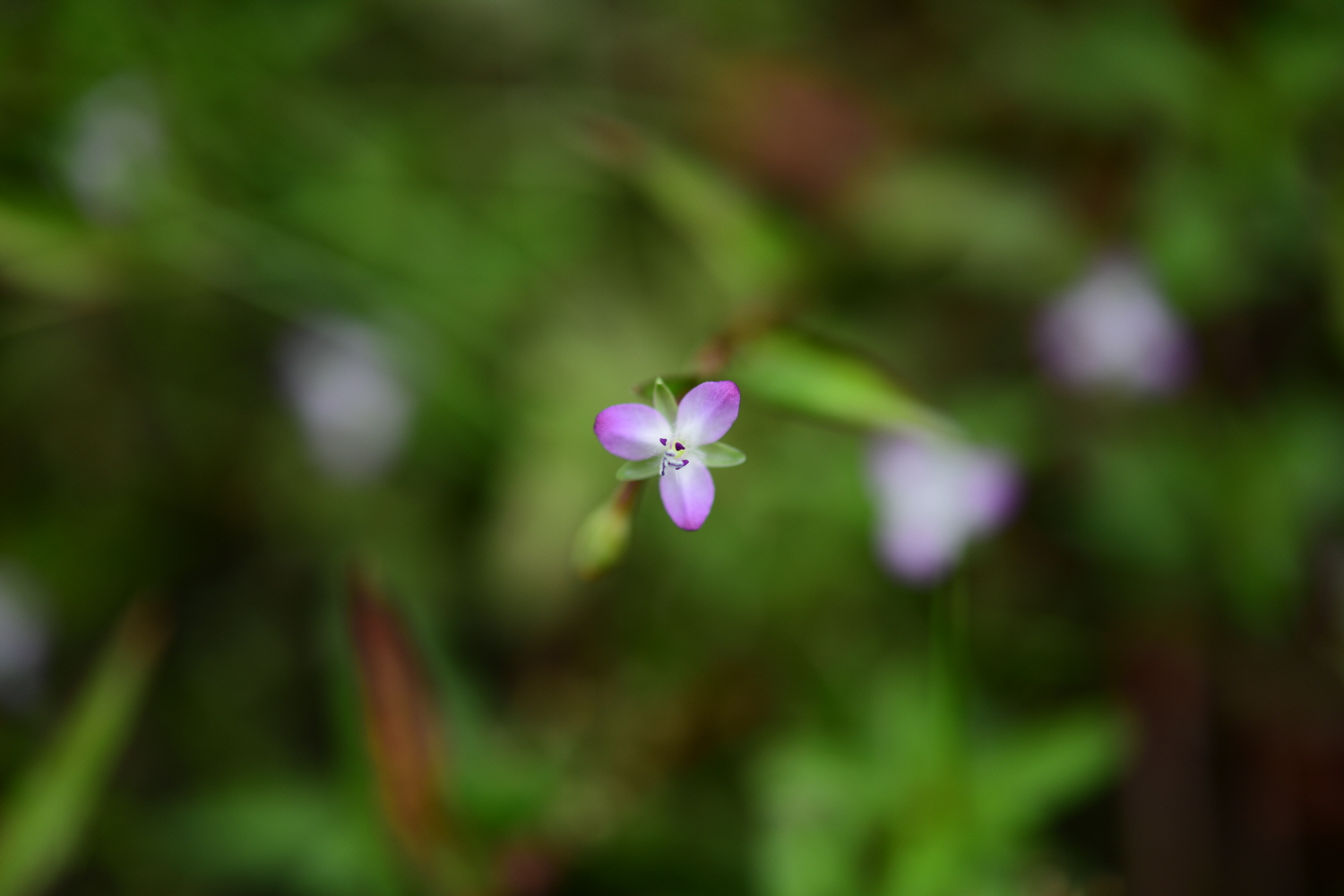 크기변환_DSC_5865.JPG