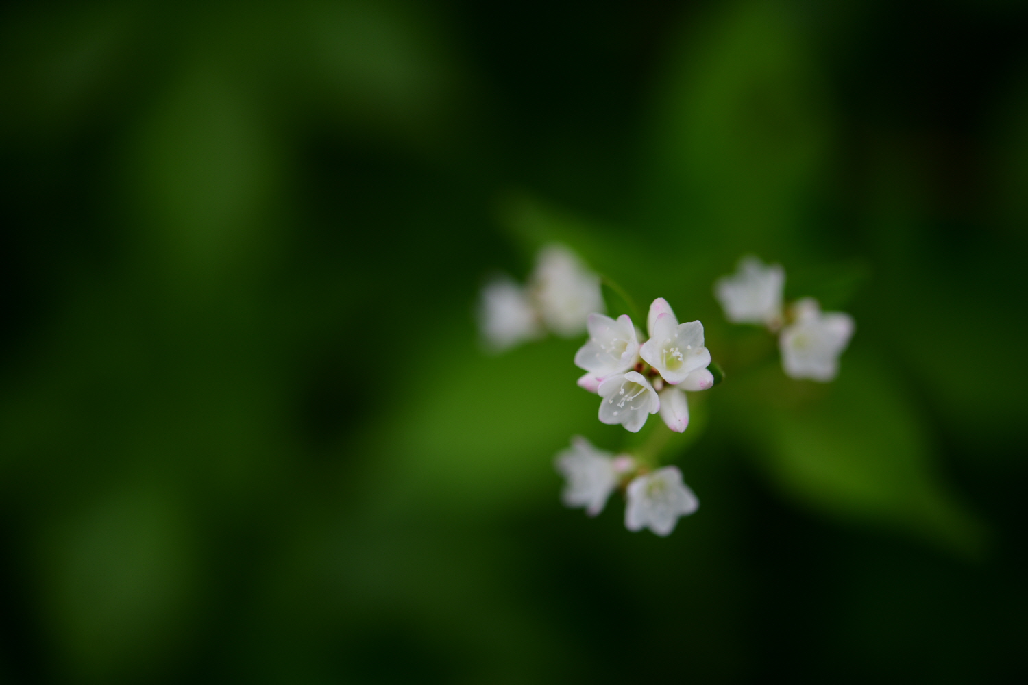 크기변환_DSC_5978.JPG