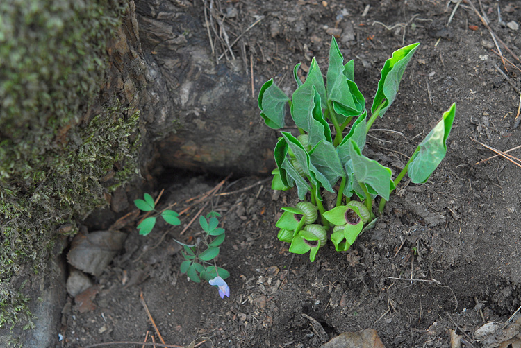 1-DSC_5195.jpg