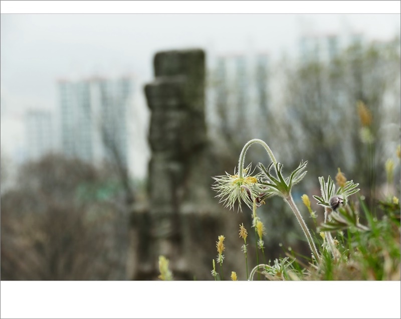 할미10.JPG