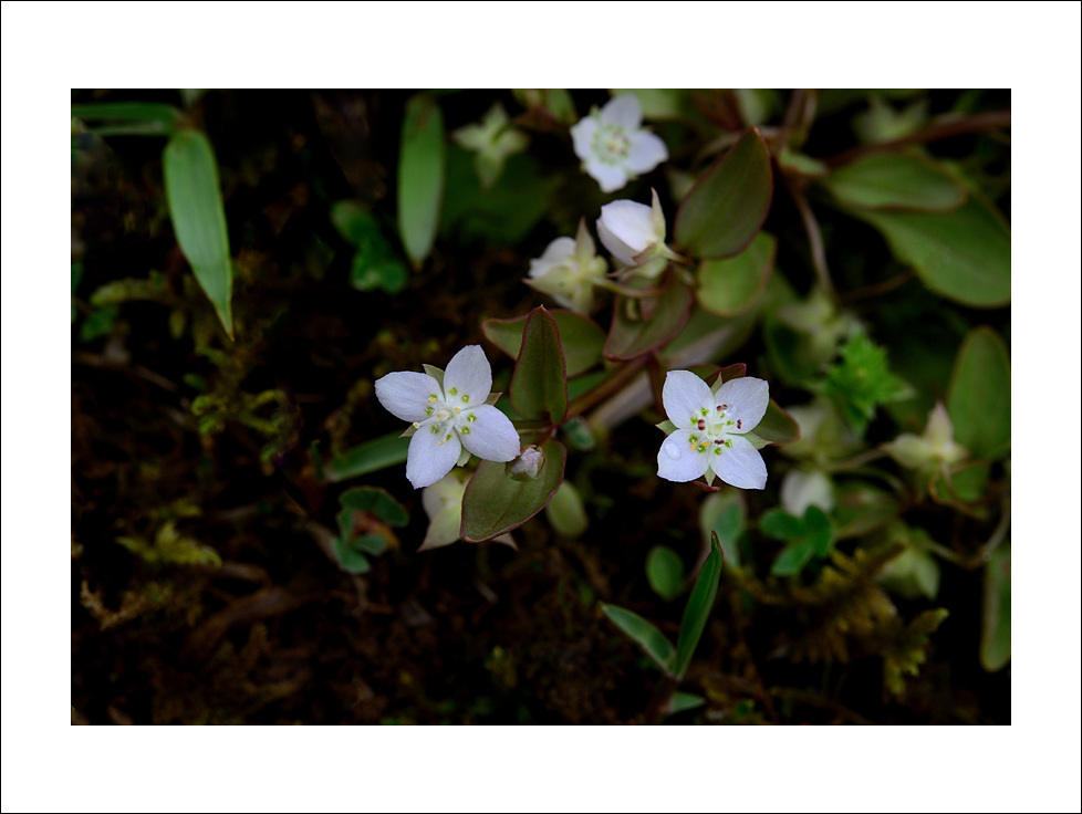 DSC_0543.jpg