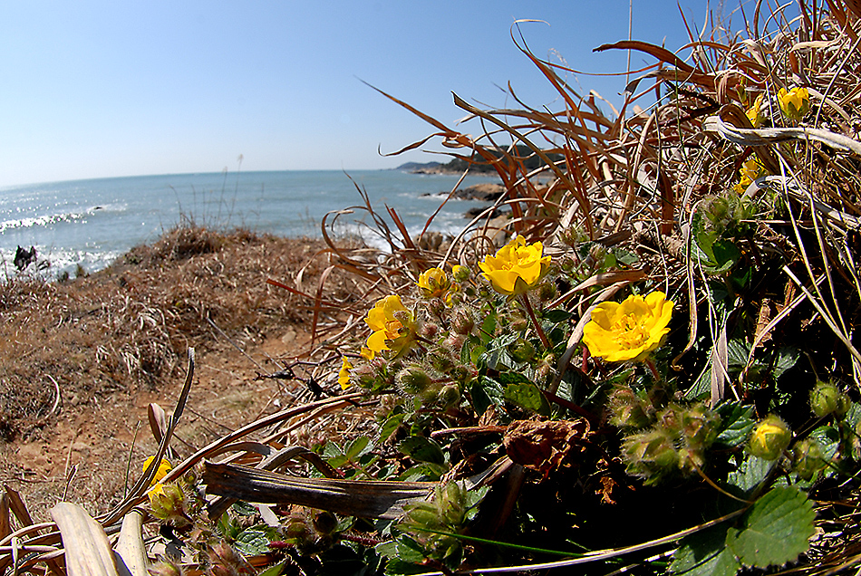 DSC_0558.jpg