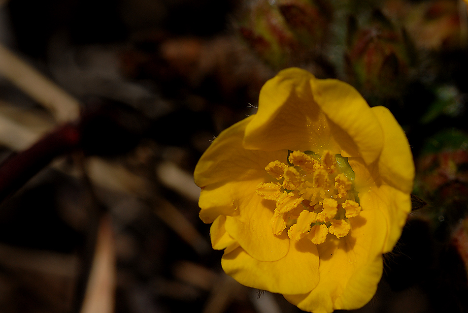 DSC_0550.jpg