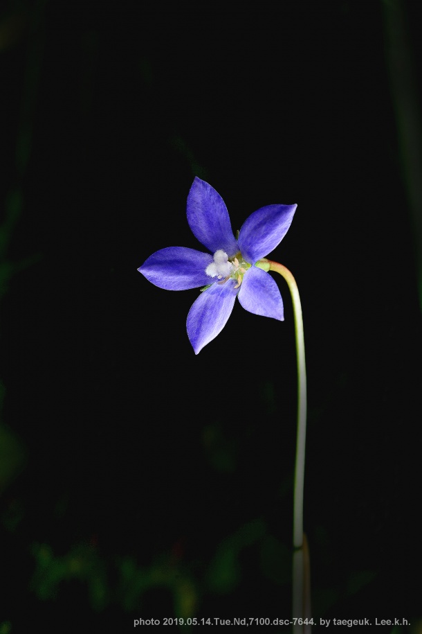 1589554468-92.jpg