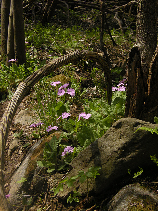 DSCN9187.jpg