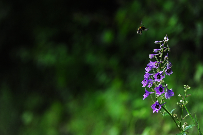 DSC_5057.JPG