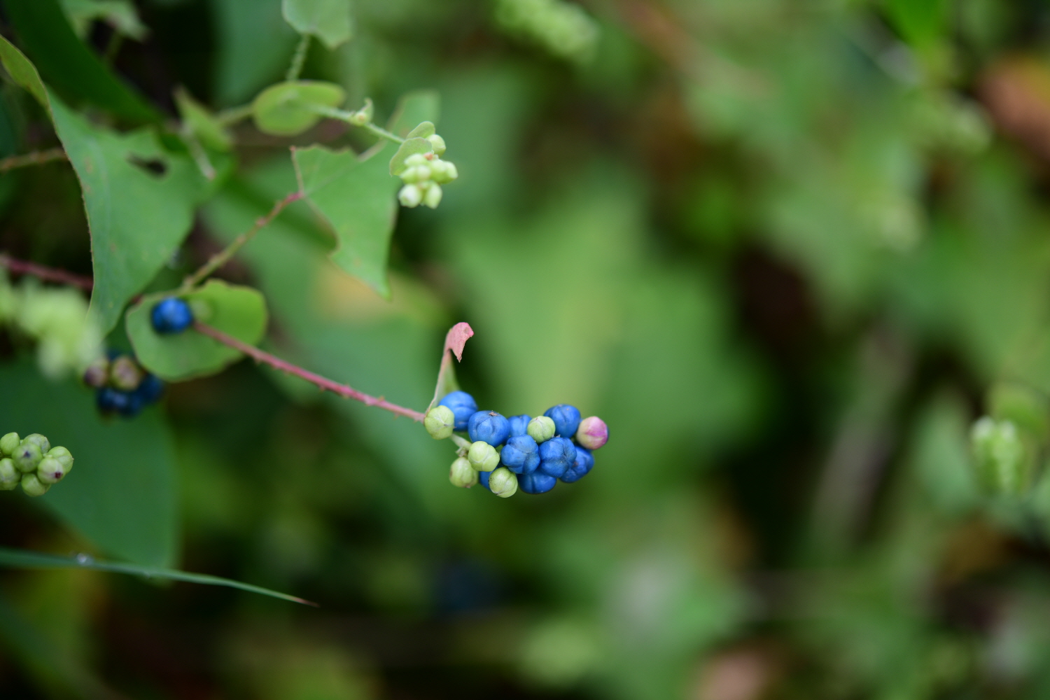 크기변환_DSC_6053.JPG