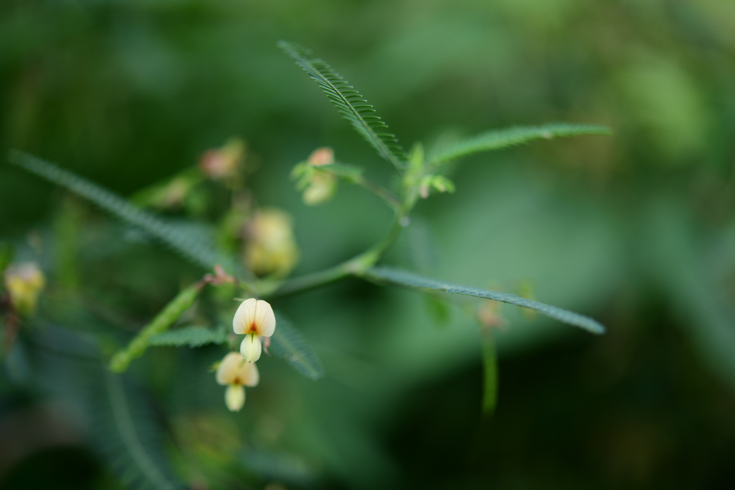크기변환_DSC_6090.JPG