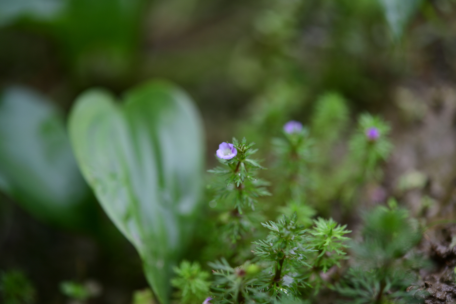 크기변환_DSC_6040.JPG