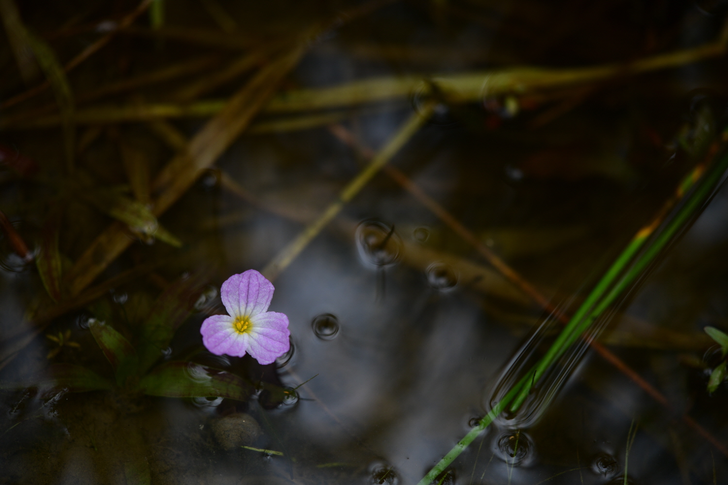 크기변환_DSC_5914.JPG