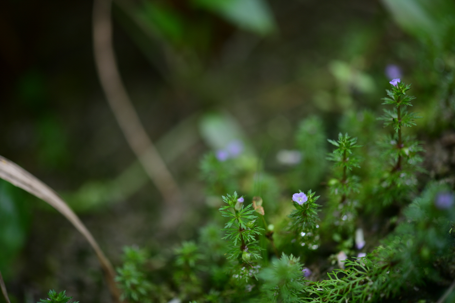 크기변환_DSC_6033.JPG