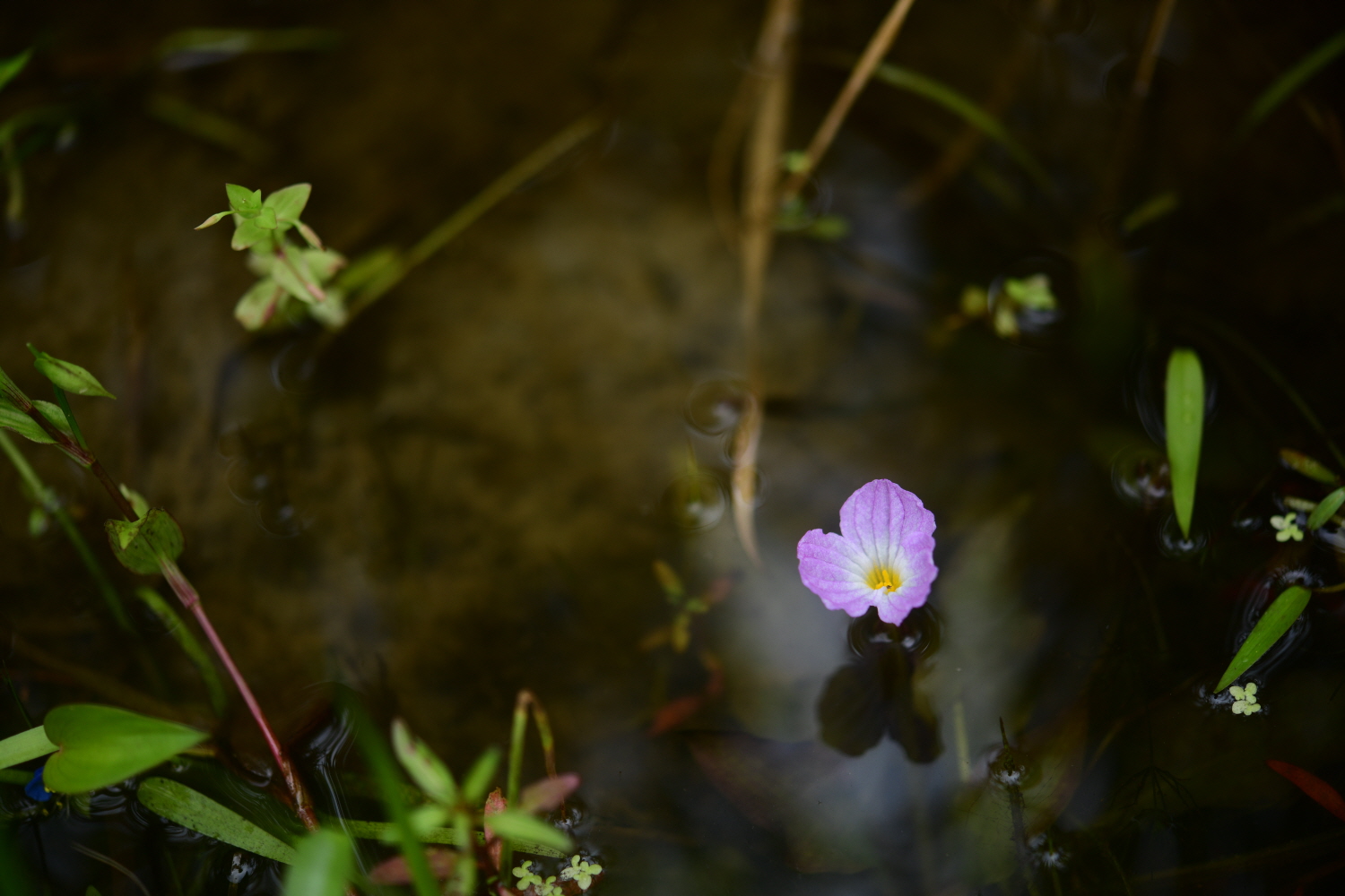 크기변환_DSC_5911.JPG