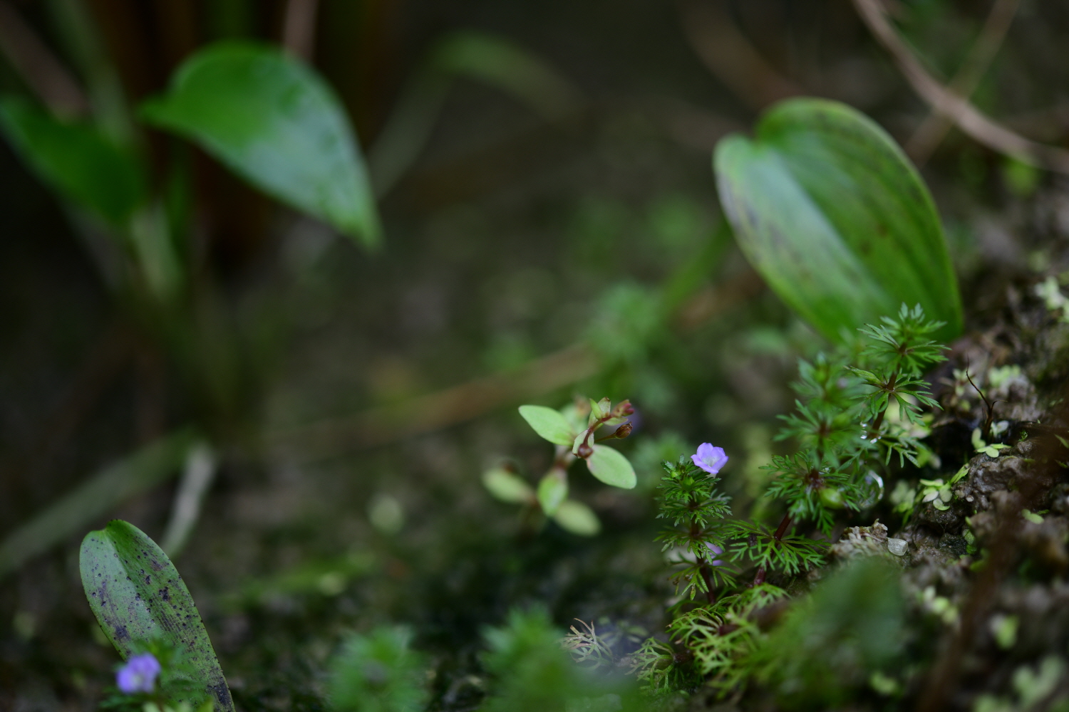 크기변환_DSC_6038.JPG