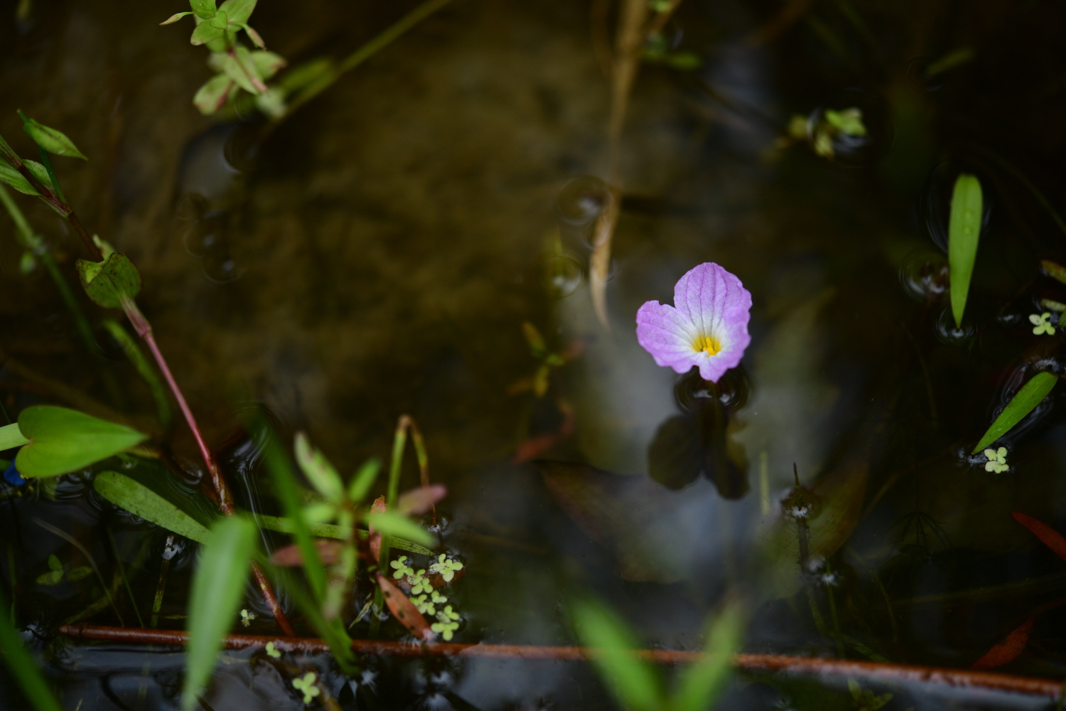 크기변환_DSC_5916.JPG