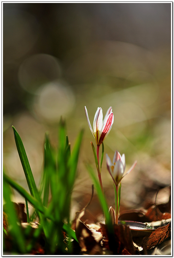 산자41.jpg
