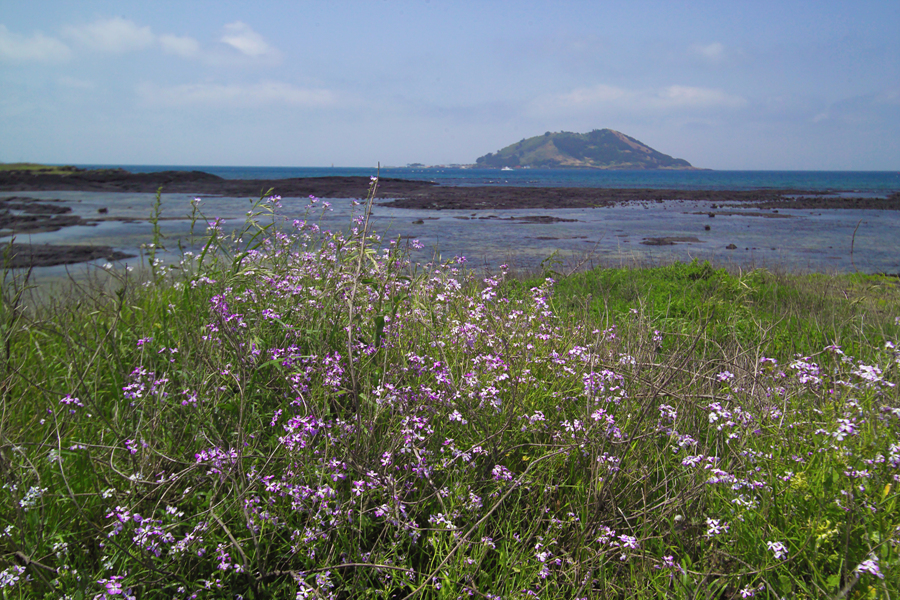 한림f0196184.jpg