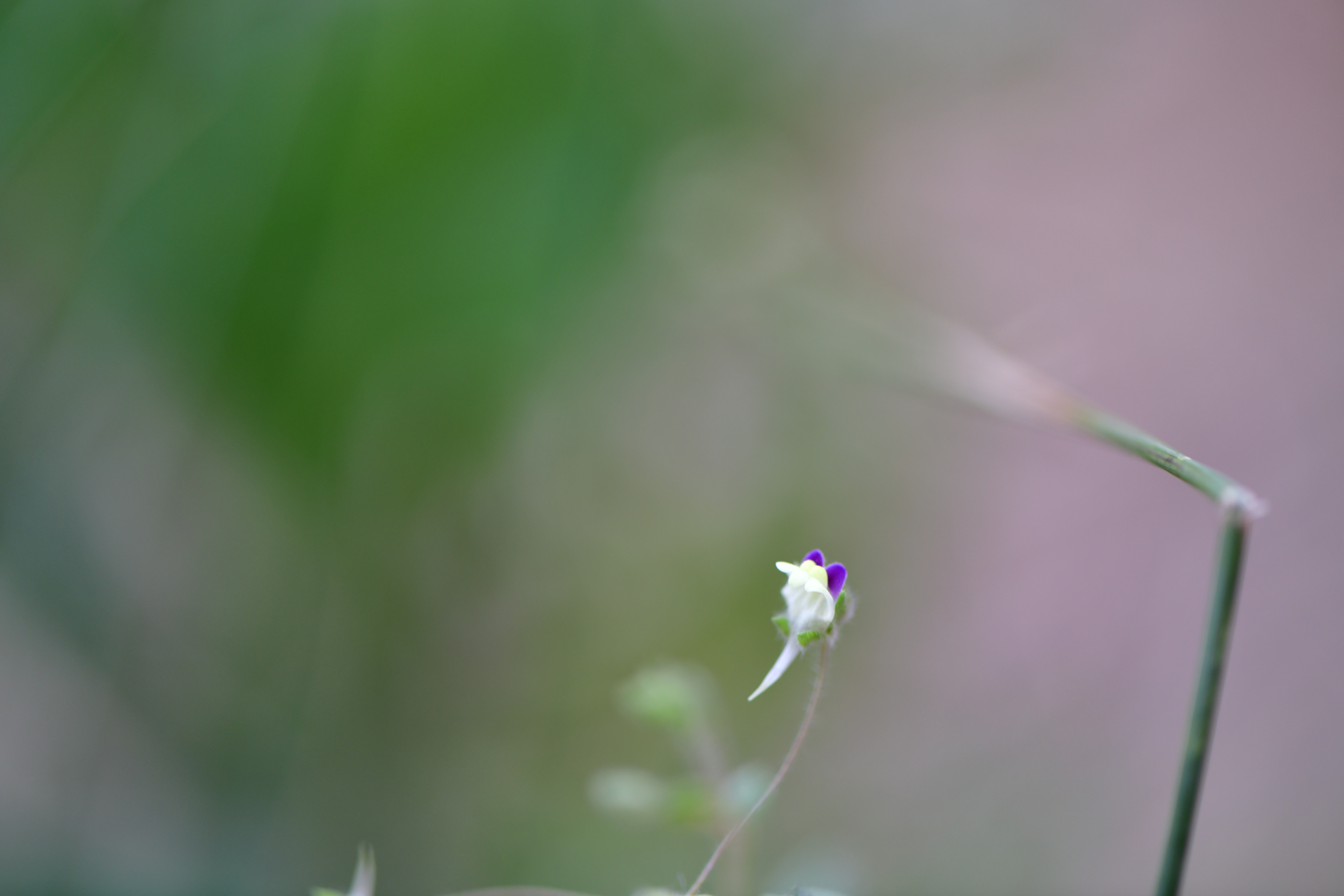 DSC_9915.JPG