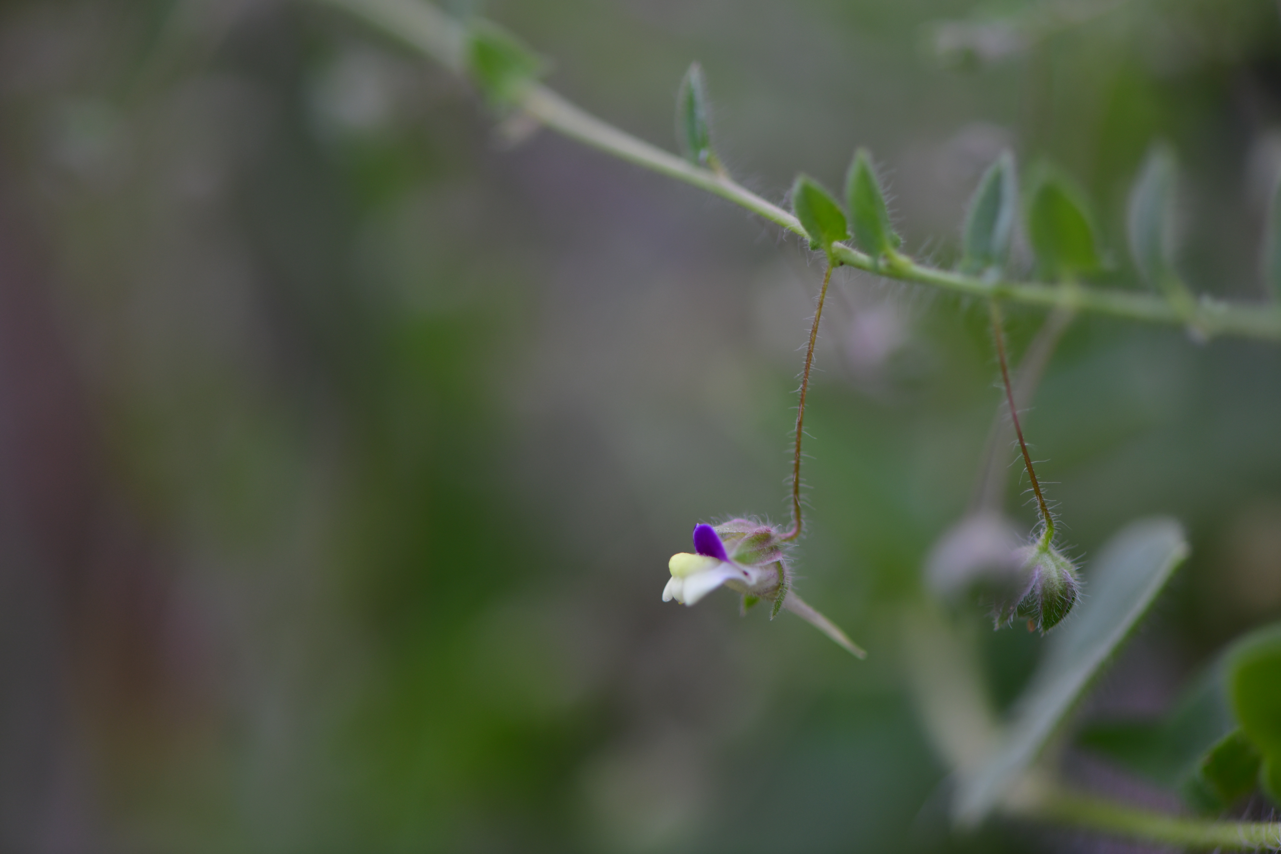 DSC_9893.JPG