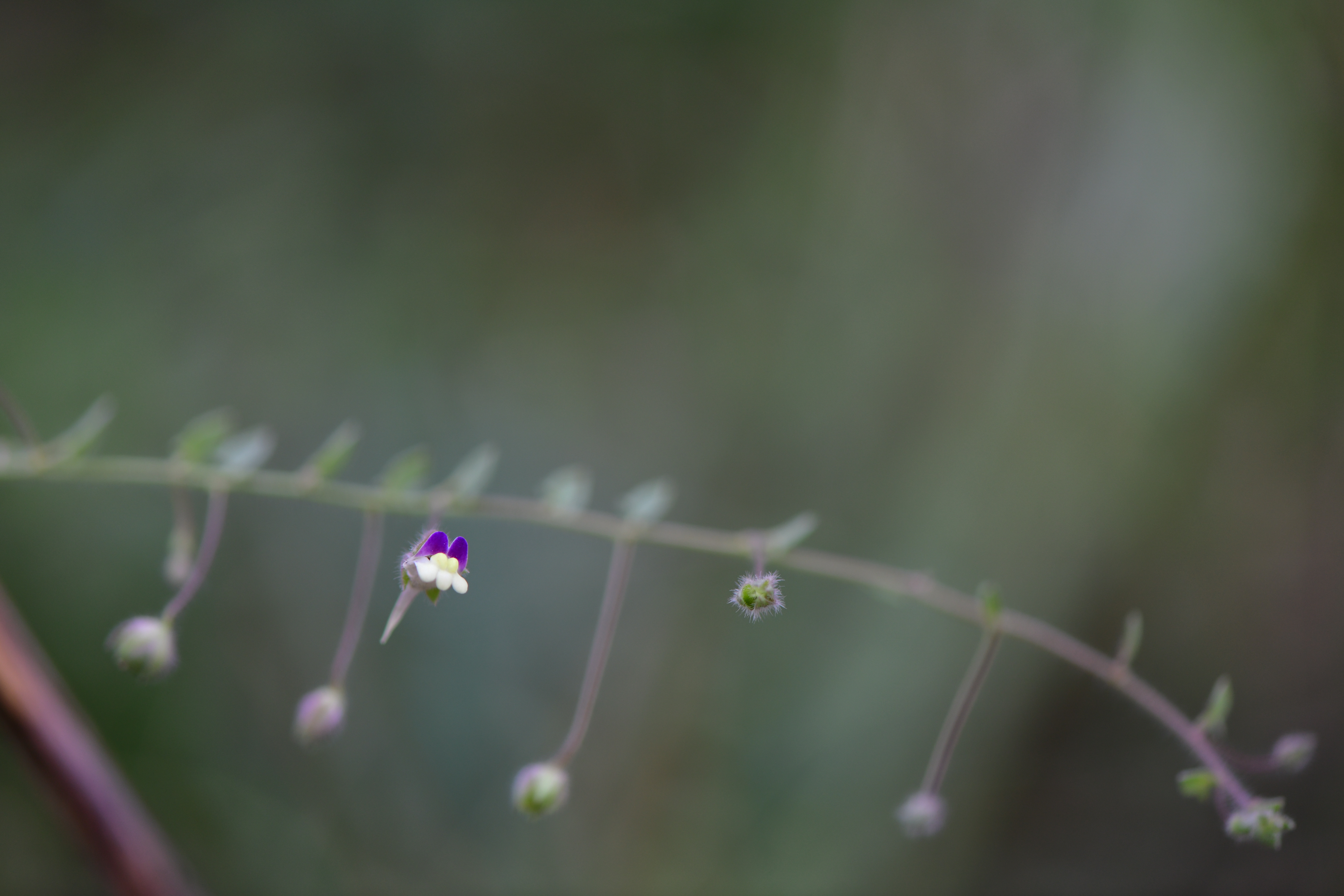 DSC_9899.JPG