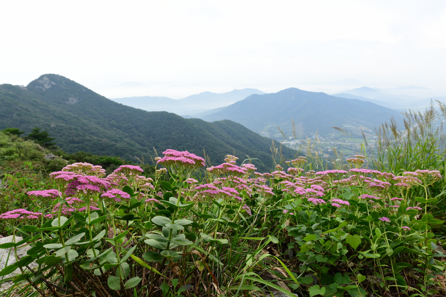 크기변환_DSC_5177.JPG